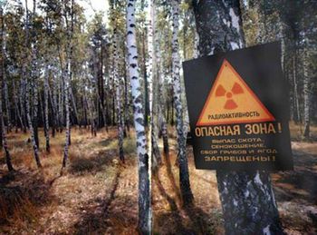Чернобыльская мебель Чернобыльская мебель